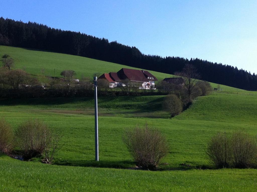 Gasthof Richebaechli Elzach Exterior foto