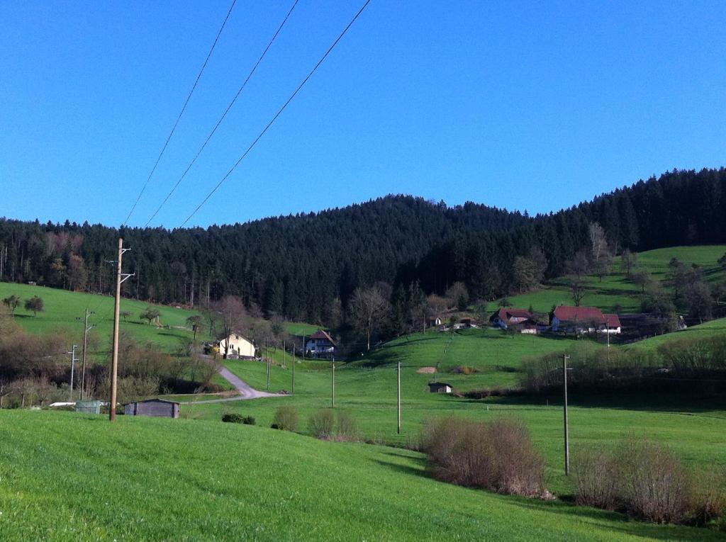 Gasthof Richebaechli Elzach Exterior foto